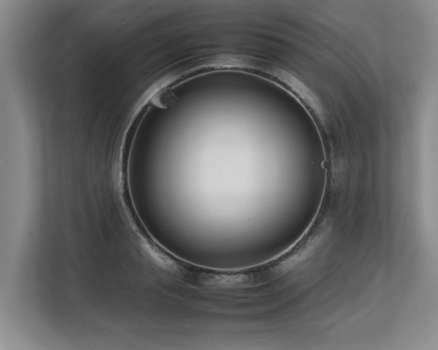 X0000112790845200908211112