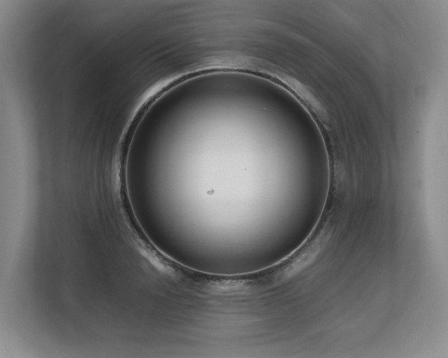 X0000112790846200908211112