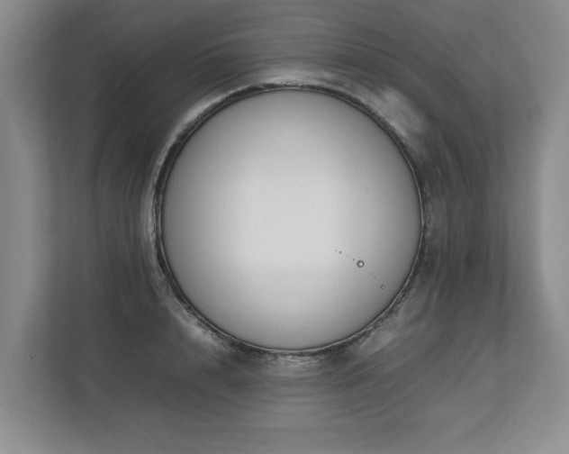 X0000112790848200908211112