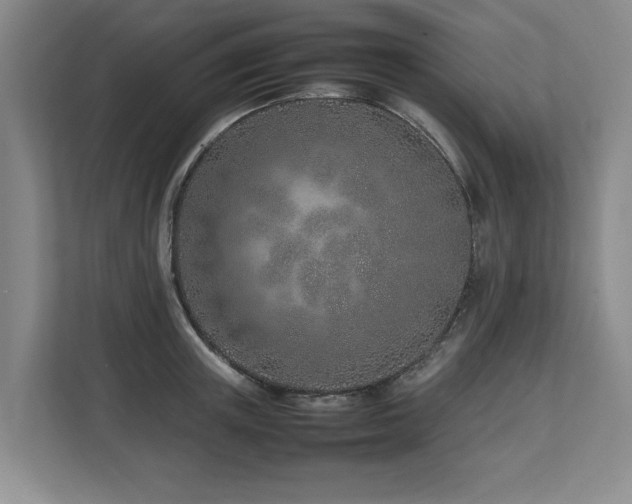 X0000112790851200908211112