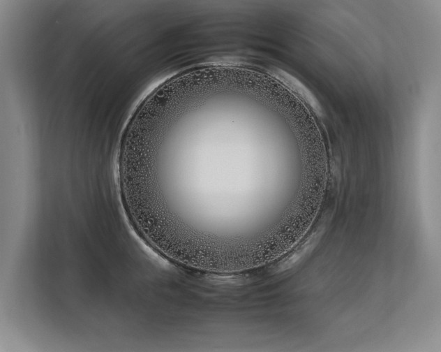 X0000112790855200908211112