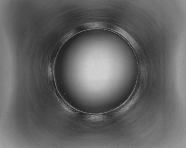 X0000112790857200908211112