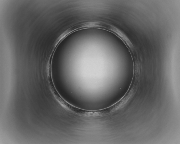X0000112790858200908211112