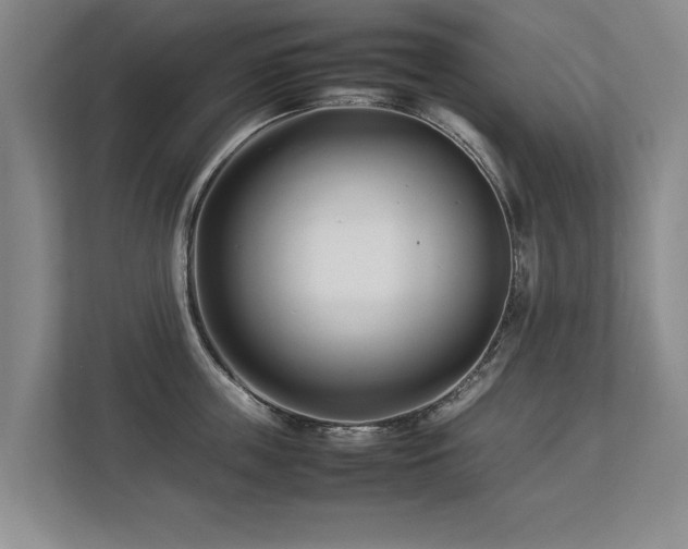 X0000112790859200908211112
