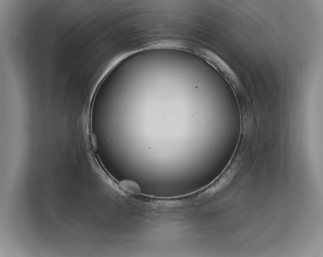 X0000112790860200908211112