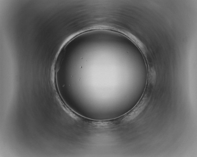 X0000112790862200908211112