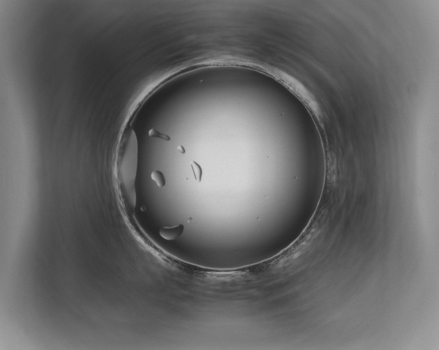 X0000112790863200908211112