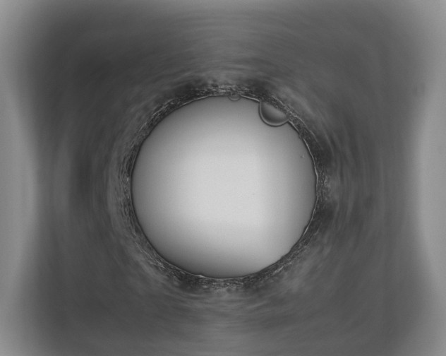 X0000112790865200908211111