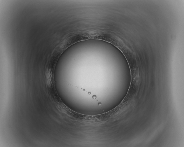 X0000112790866200908211111