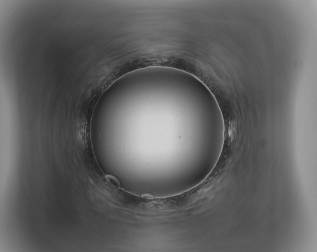 X0000112790867200908211111
