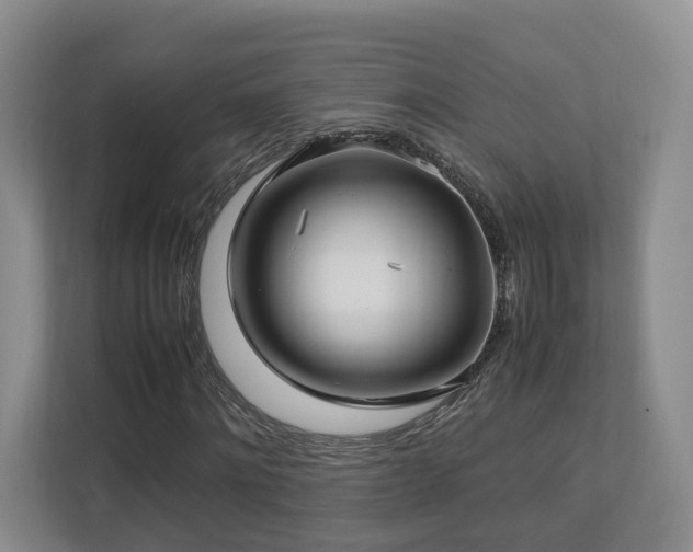 X0000112790868200908211111