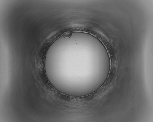 X0000112790869200908211111