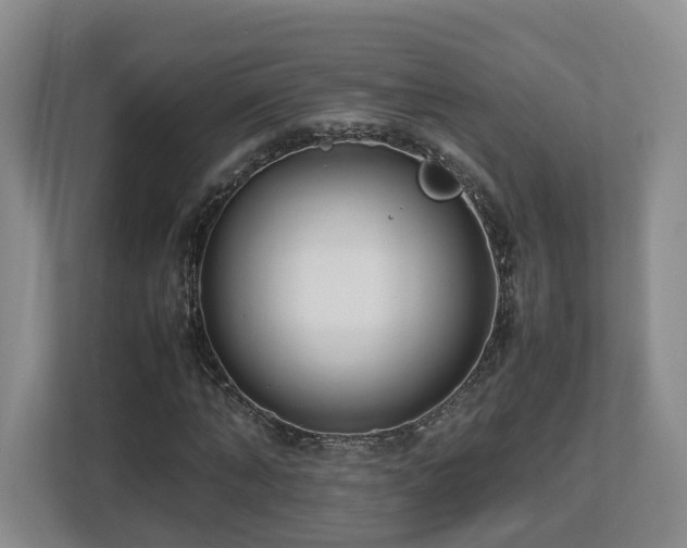 X0000112790870200908211111