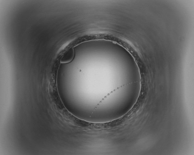 X0000112790871200908211111