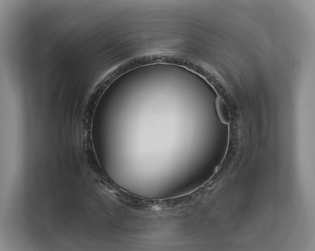 X0000112790872200908211111
