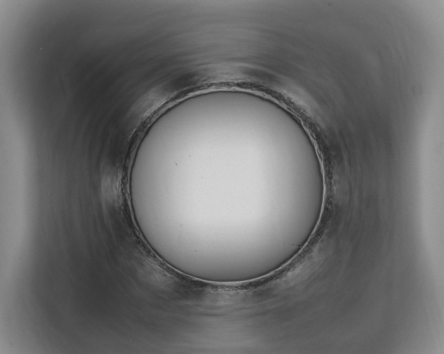 X0000112790873200908211111