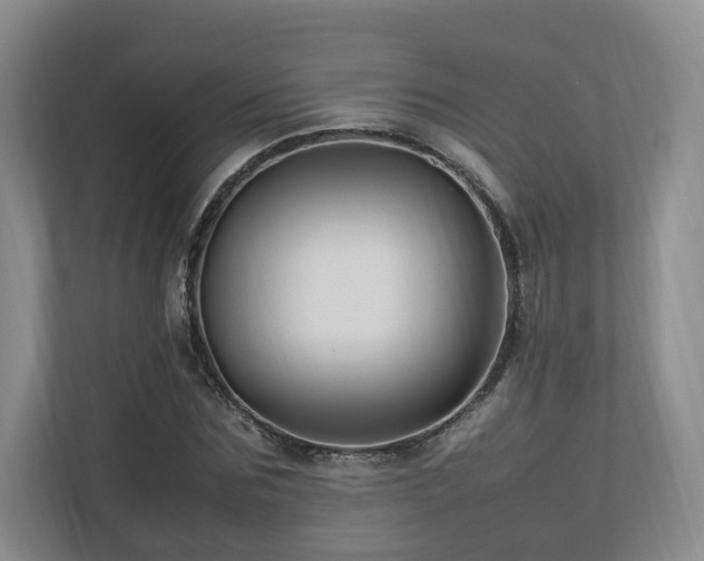 X0000112790875200908211111