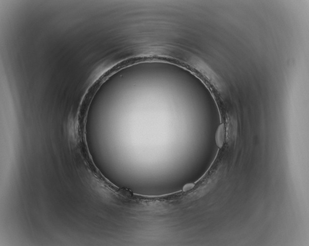 X0000112790876200908211111