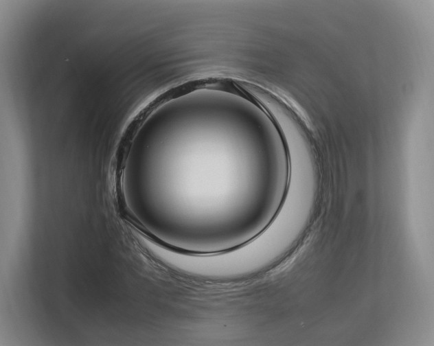 X0000112790877200908211111