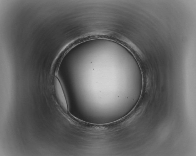 X0000112790878200908211111