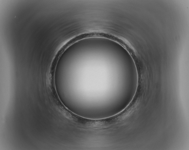 X0000112790879200908211111