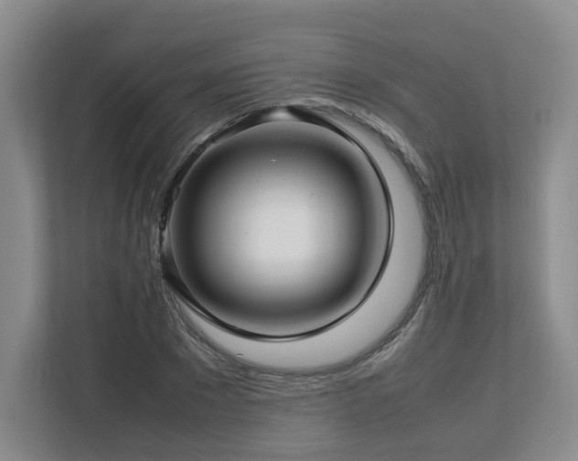 X0000112790881200908211111