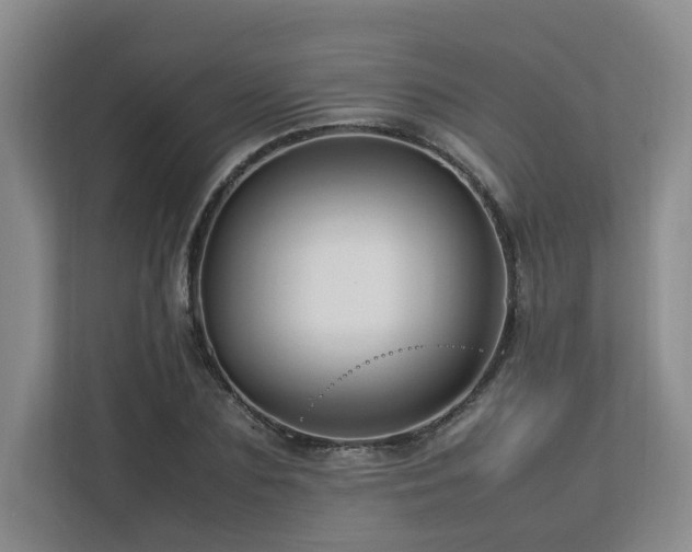 X0000112790883200908211111