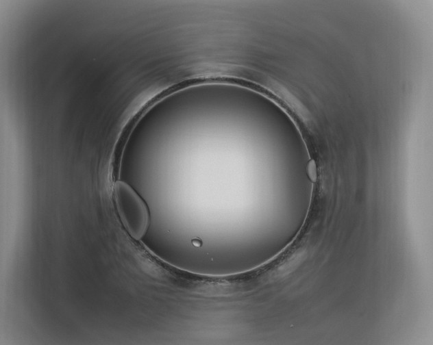 X0000112790885200908211111
