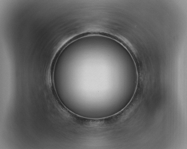 X0000112790887200908211111