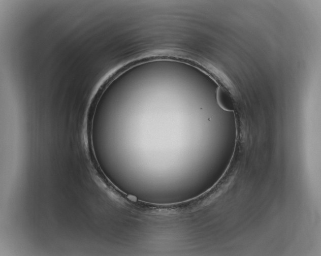 X0000112790888200908211111