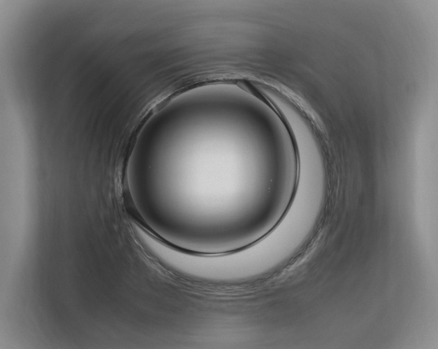 X0000112790889200908211111