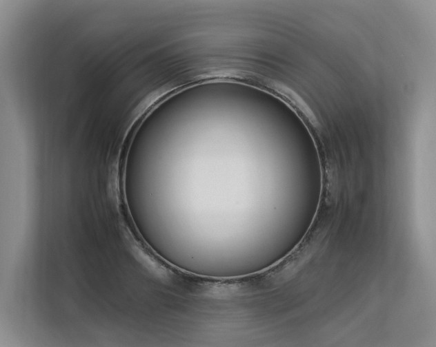 X0000112790890200908211111