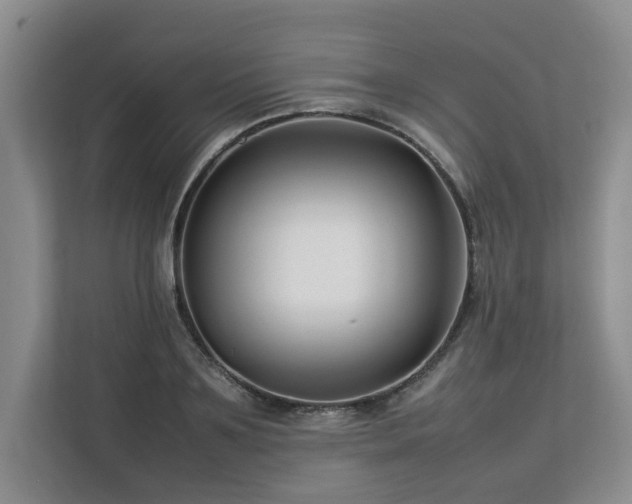 X0000112790891200908211111