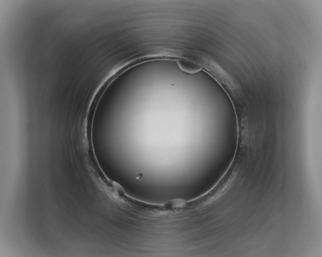 X0000112790892200908211111