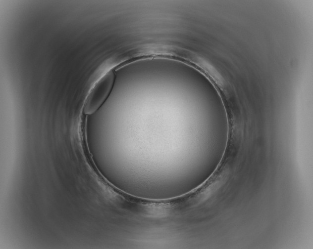 X0000112790893200908211111