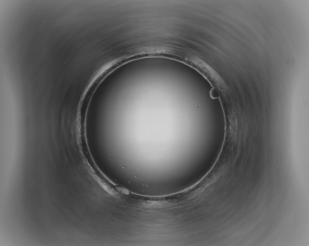 X0000112790894200908211111
