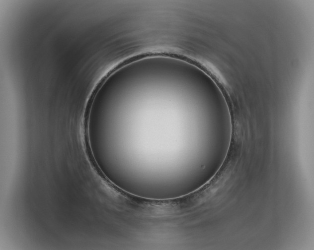 X0000112790895200908211111