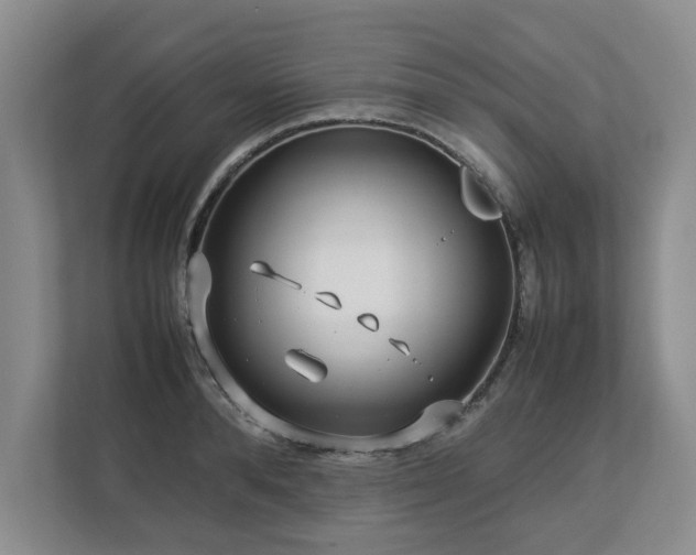 X0000112790896200908211111