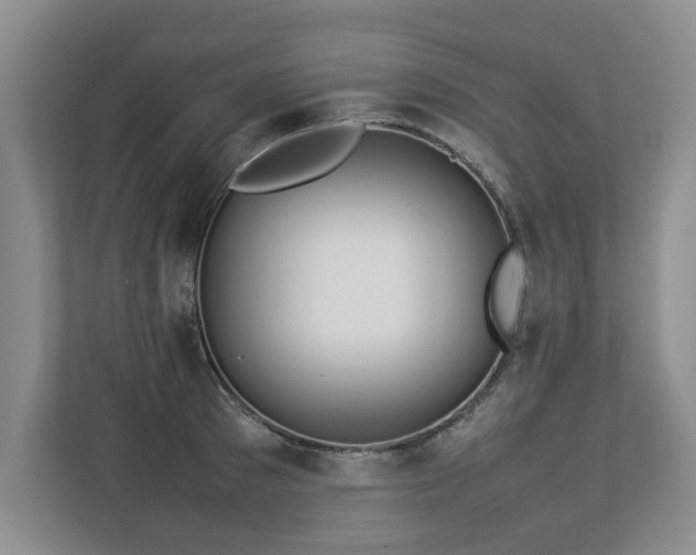 X0000112790897200908211111