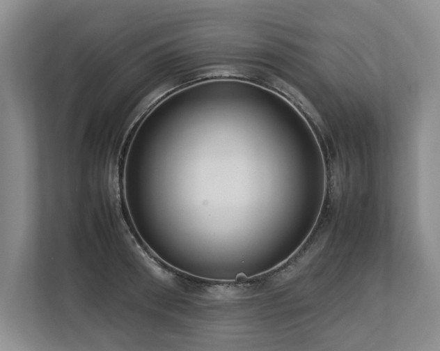X0000112790898200908211111