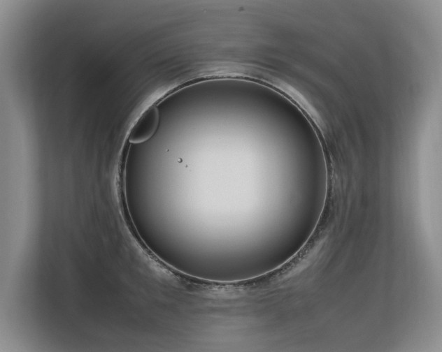 X0000112790901200908211111