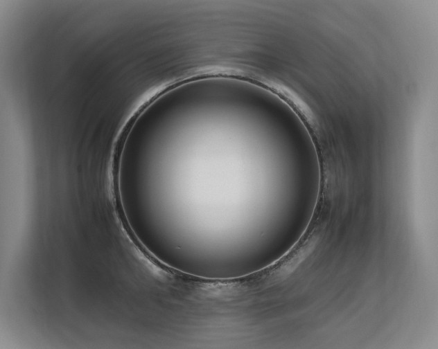 X0000112790902200908211111