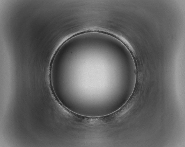 X0000112790903200908211111