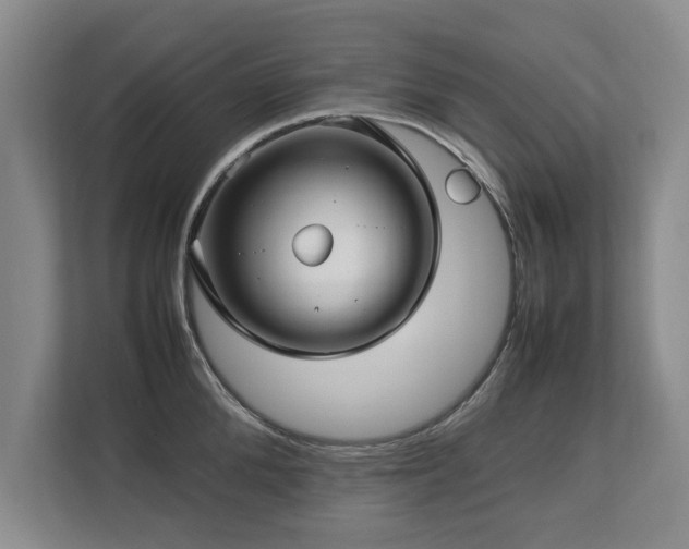 X0000112790904200908211111