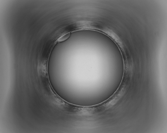 X0000112790905200908211111
