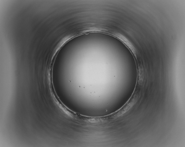 X0000112790906200908211111