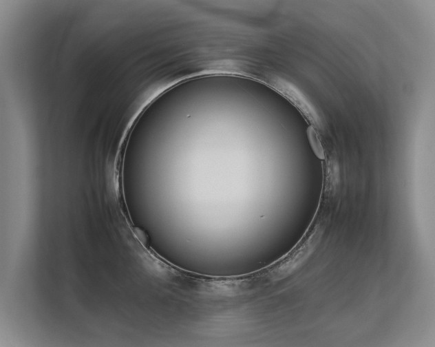 X0000112790908200908211111