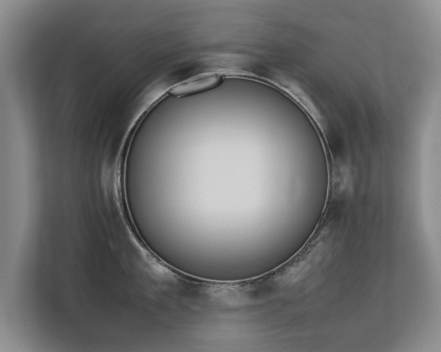 X0000112790909200908211111