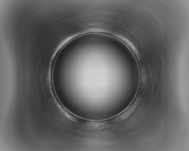 X0000112790910200908211111