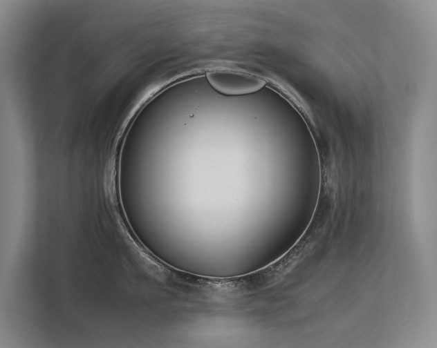 X0000112790911200908211111